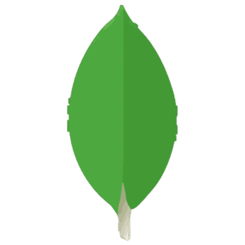 MongoDB for Students